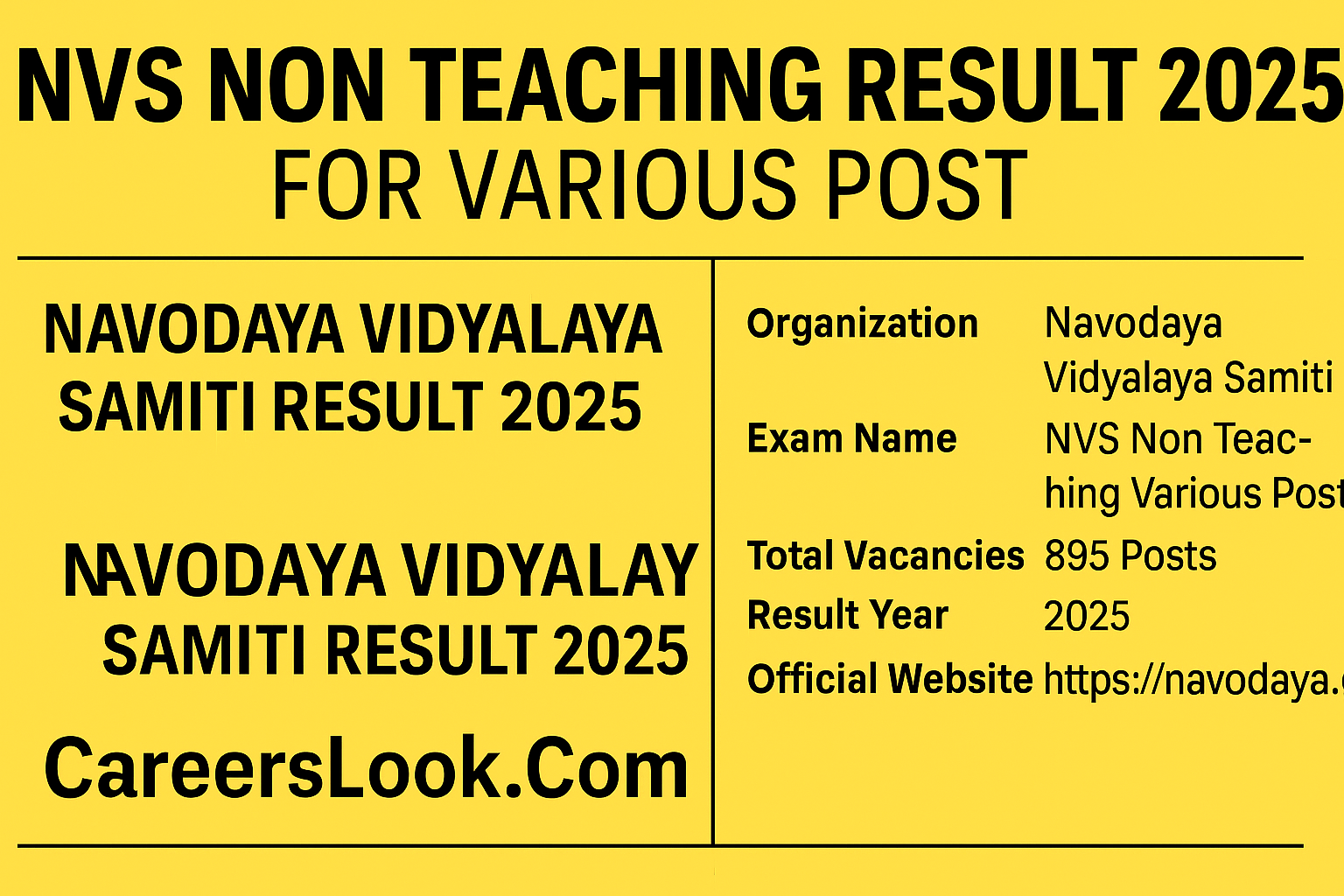 NVS Non Teaching Result 2025
